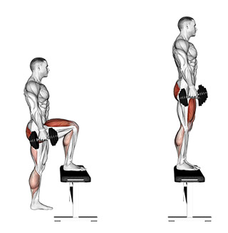 step up leg workouts